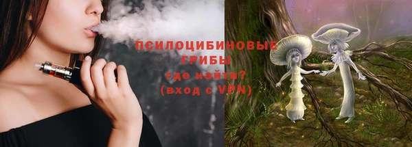 ГАЛЛЮЦИНОГЕННЫЕ ГРИБЫ Алзамай