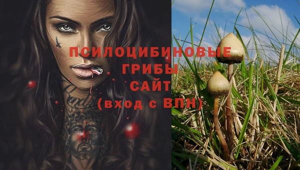 не бодяженный Абаза