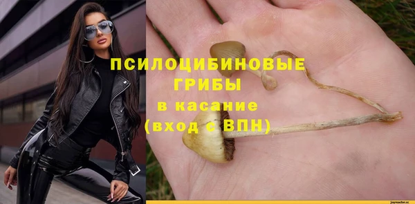 таблы Алексин