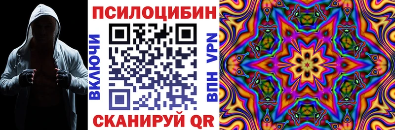 Псилоцибиновые грибы Cubensis  Кораблино 